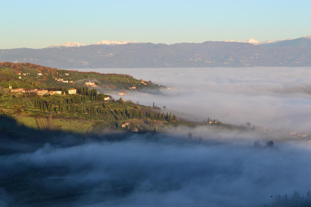 Bed and Breakfast Tenuta Di Capezzana Seano Exteriér fotografie