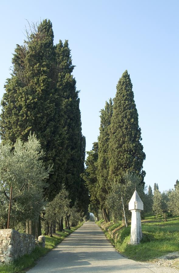 Bed and Breakfast Tenuta Di Capezzana Seano Exteriér fotografie