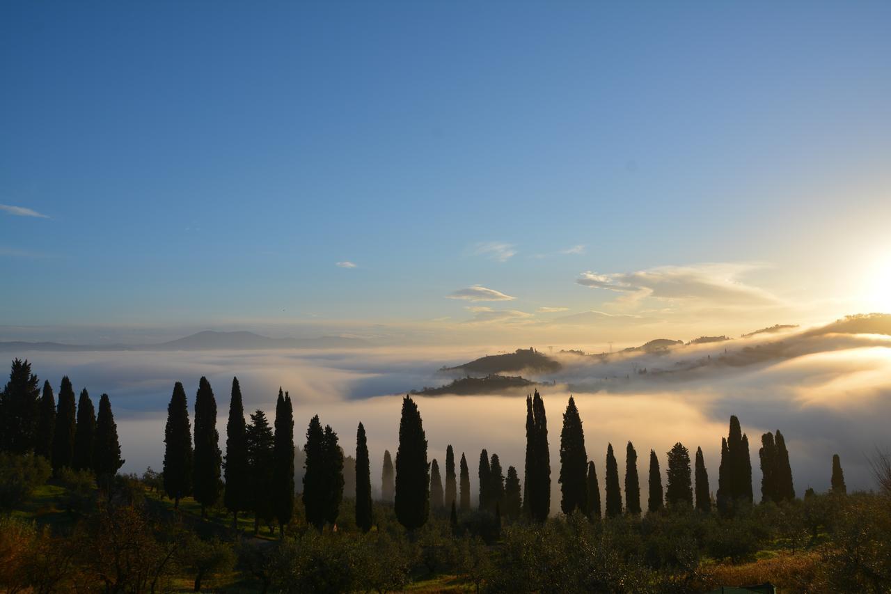 Bed and Breakfast Tenuta Di Capezzana Seano Exteriér fotografie